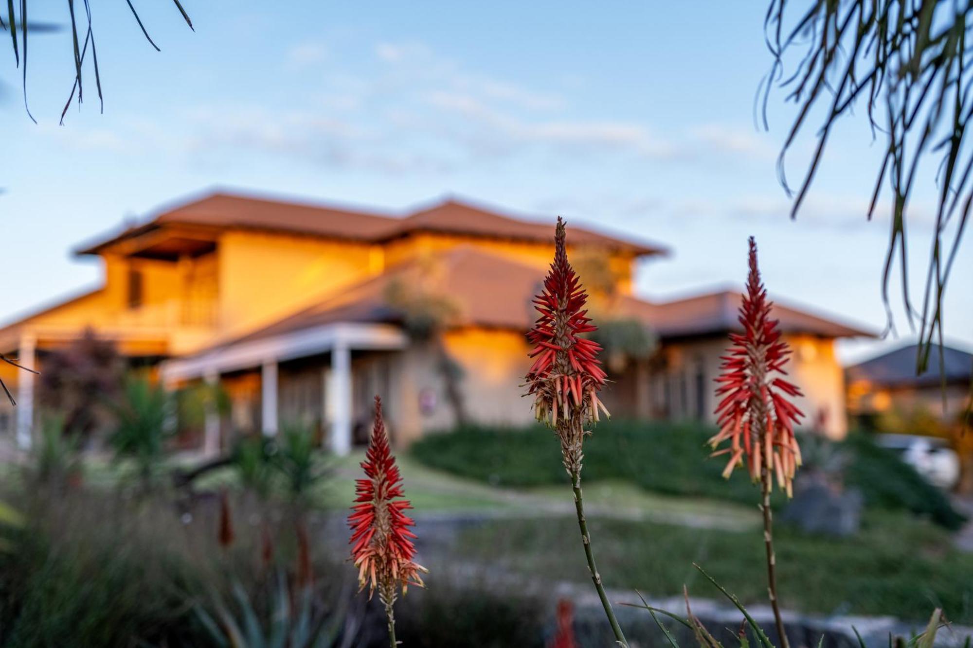 Blue Rain Guest House Bloemfontein Bagian luar foto