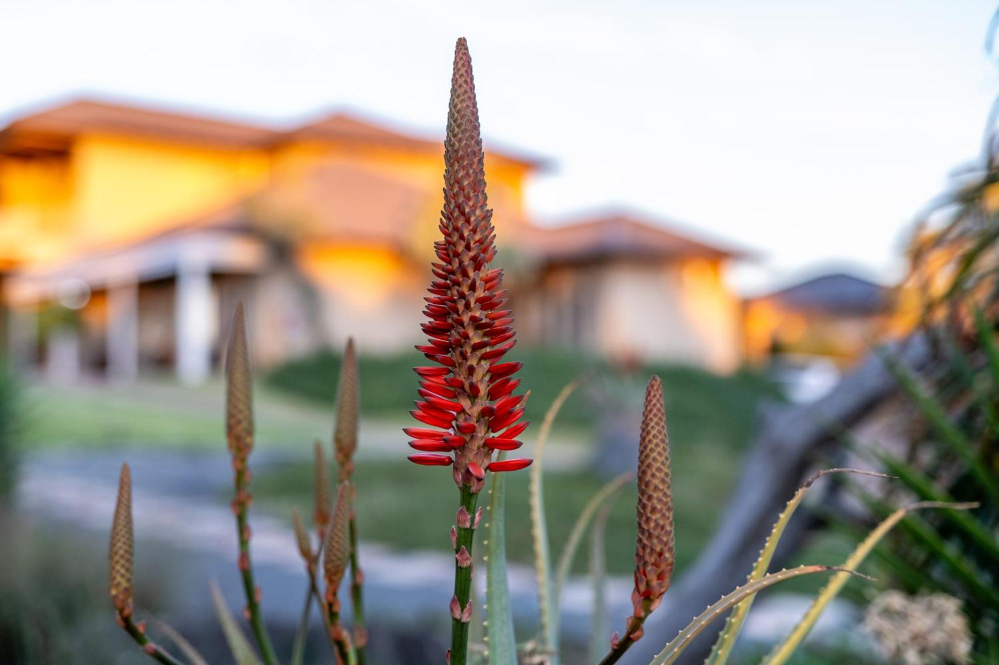 Blue Rain Guest House Bloemfontein Bagian luar foto